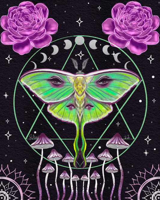 Lunar Moth wall art/ art for walls / decorations/ decor/